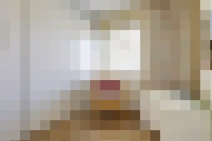 van Alkemadestraat 87 De Lier thumbnail 16