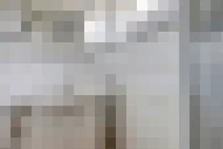 van Alkemadestraat 87 De Lier thumbnail 18