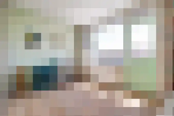 van Alkemadestraat 87 De Lier thumbnail 19