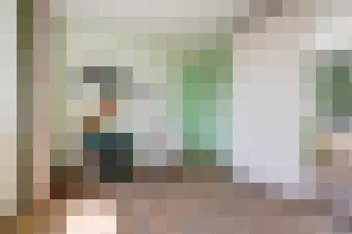 van Alkemadestraat 87 De Lier thumbnail 20