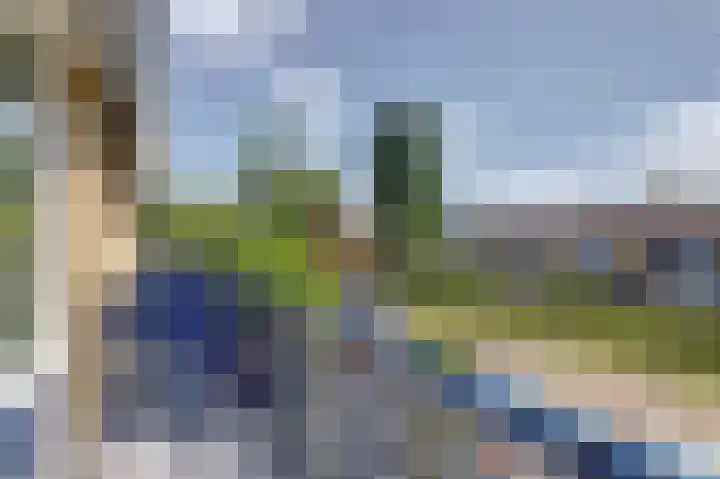 van Alkemadestraat 87 De Lier thumbnail 21