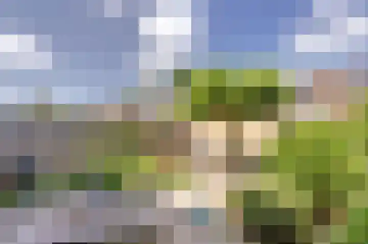van Alkemadestraat 87 De Lier thumbnail 26