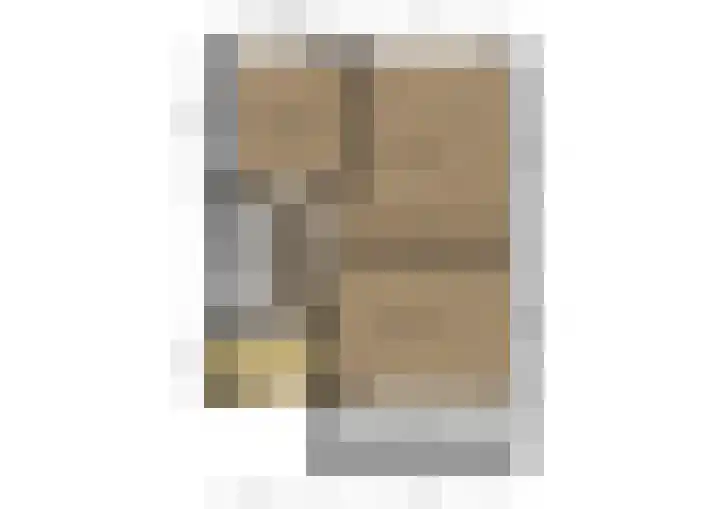 van Alkemadestraat 87 De Lier thumbnail 30