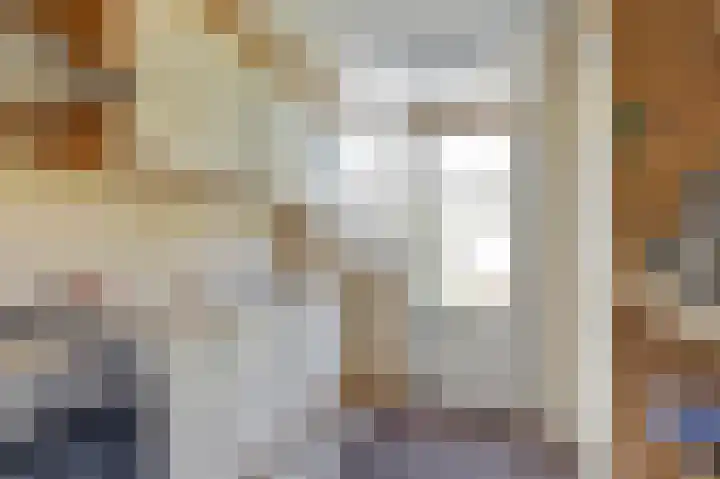 van Alkemadestraat 87 De Lier thumbnail 5
