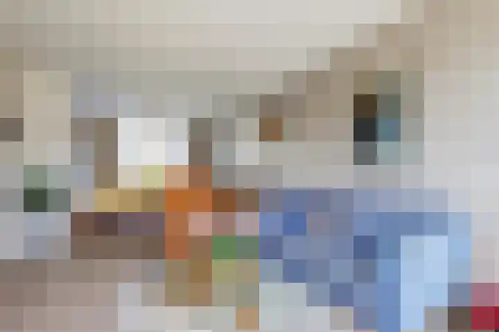 van Alkemadestraat 87 De Lier thumbnail 7