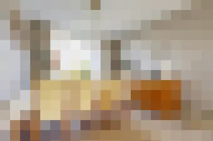 van Alkemadestraat 87 De Lier thumbnail 8