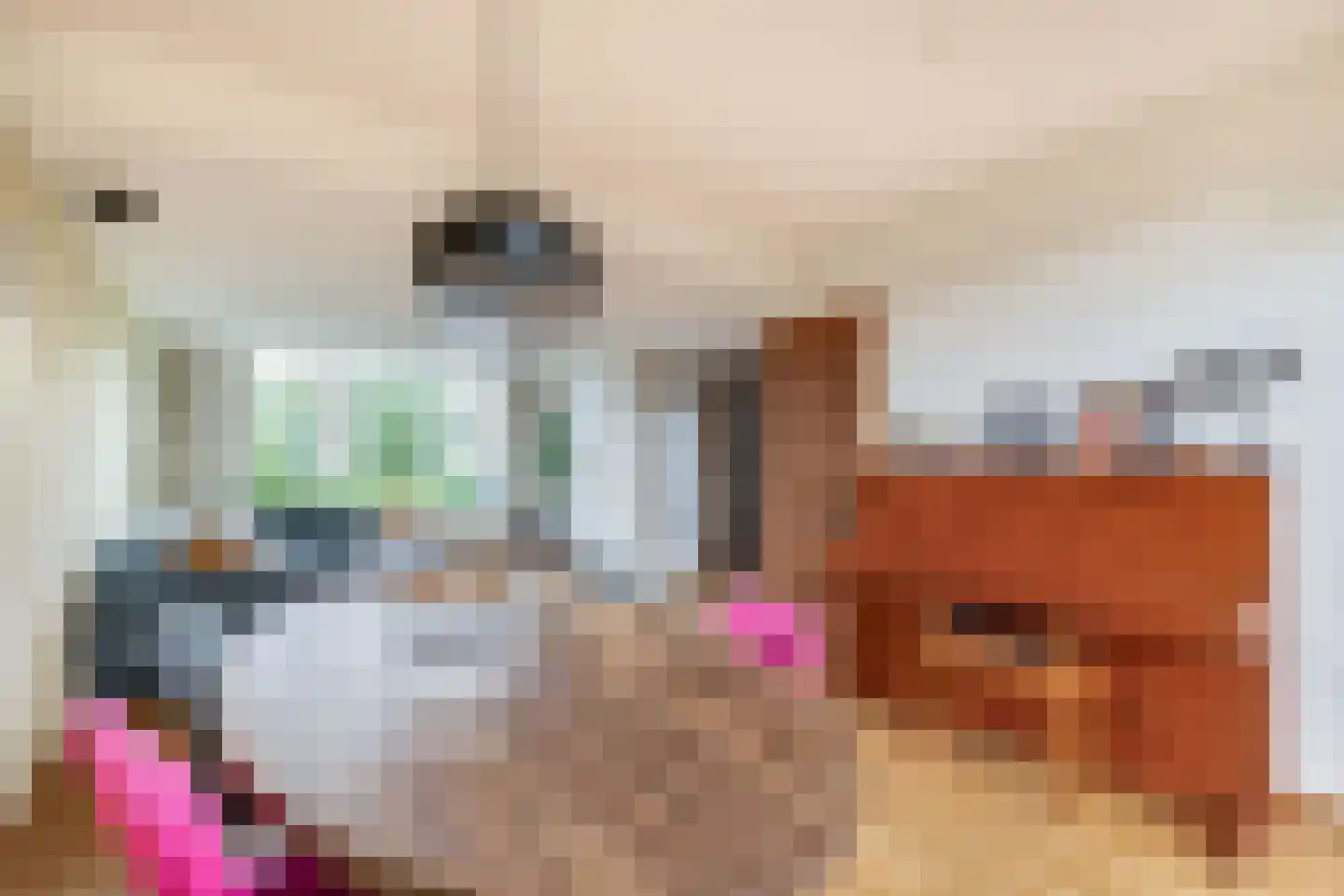 Van Allenstraat 3 Krommenie thumbnail 18
