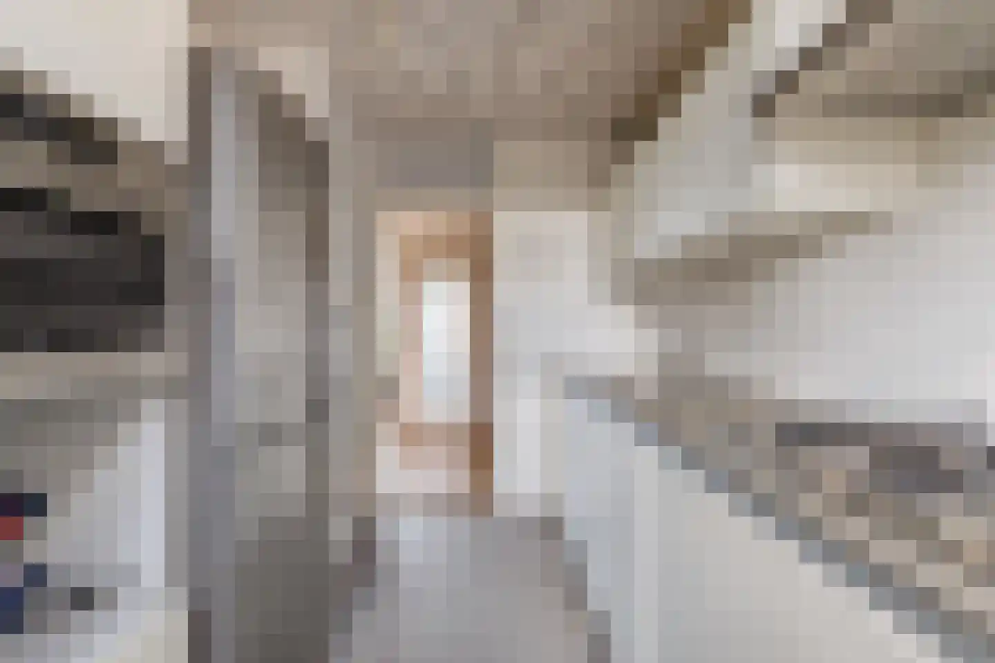 Van Allenstraat 3 Krommenie thumbnail 19