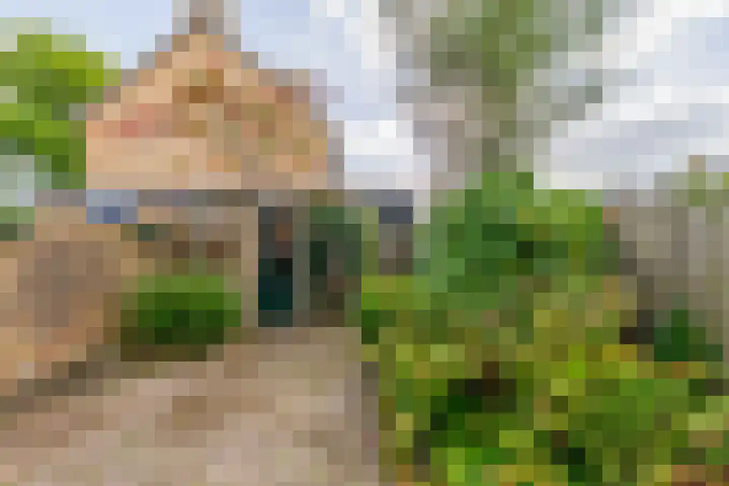 Van Allenstraat 3 Krommenie thumbnail 35