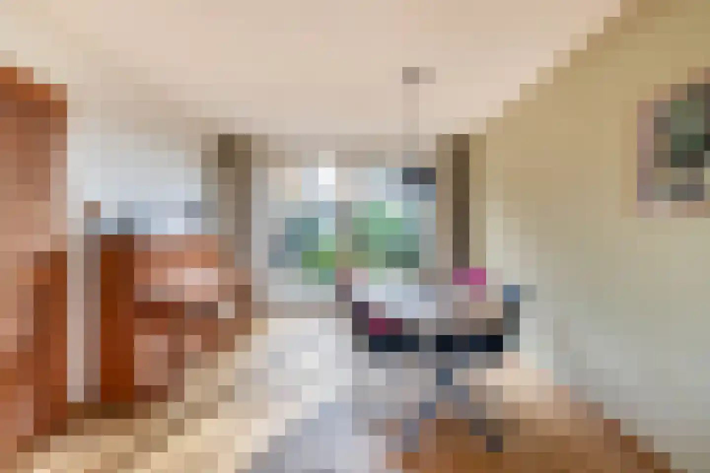 Van Allenstraat 3 Krommenie thumbnail 4