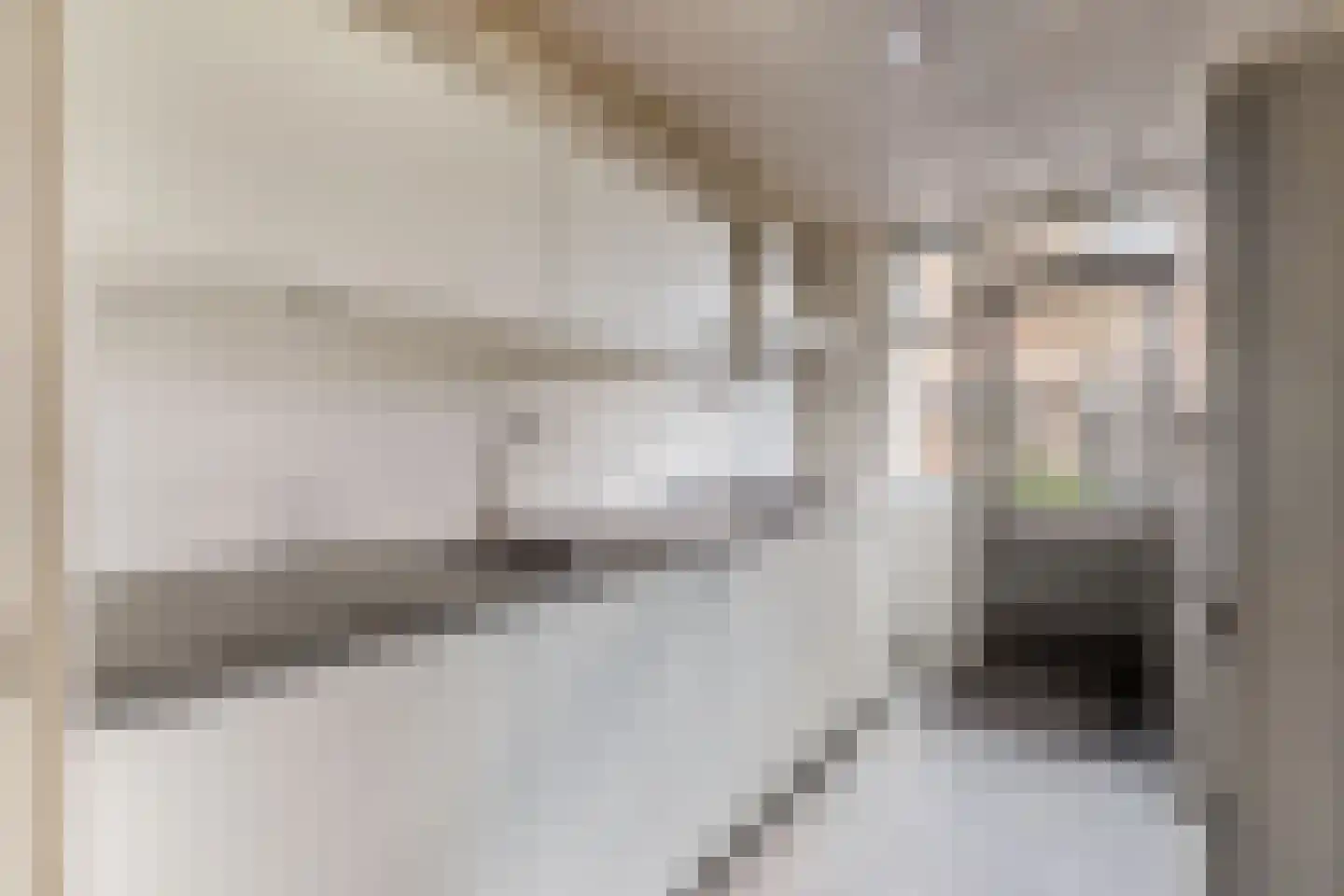 Van Allenstraat 3 Krommenie thumbnail 5