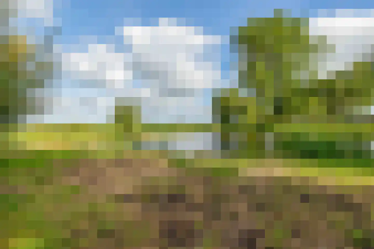 Van Allenstraat 3 Krommenie thumbnail 7