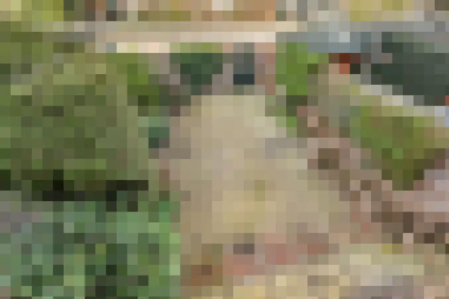 Van Almondelaan 20 Hilversum thumbnail 22