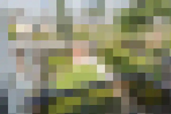 Van Almondelaan 36 Hilversum thumbnail 21