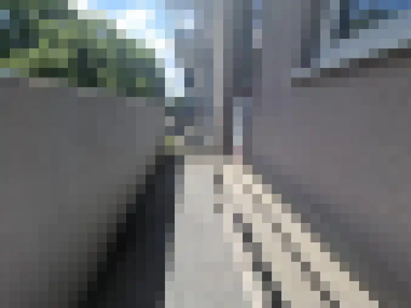 Van Almondestraat 104 Dordrecht thumbnail 10
