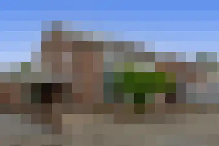 van Almondestraat 4 in Veghel