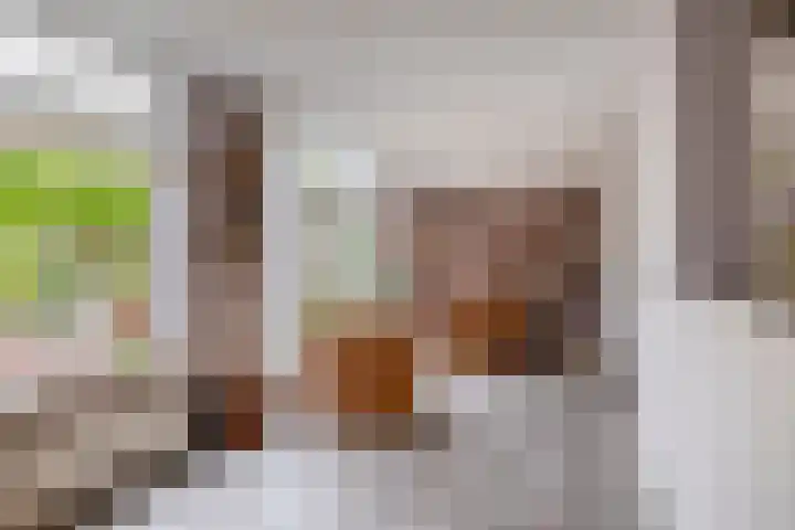 van Almondestraat 4 Veghel thumbnail 12