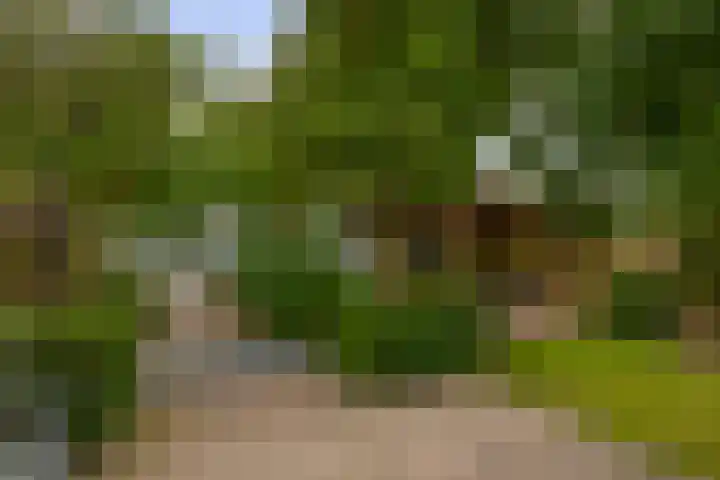 van Almondestraat 4 Veghel thumbnail 30