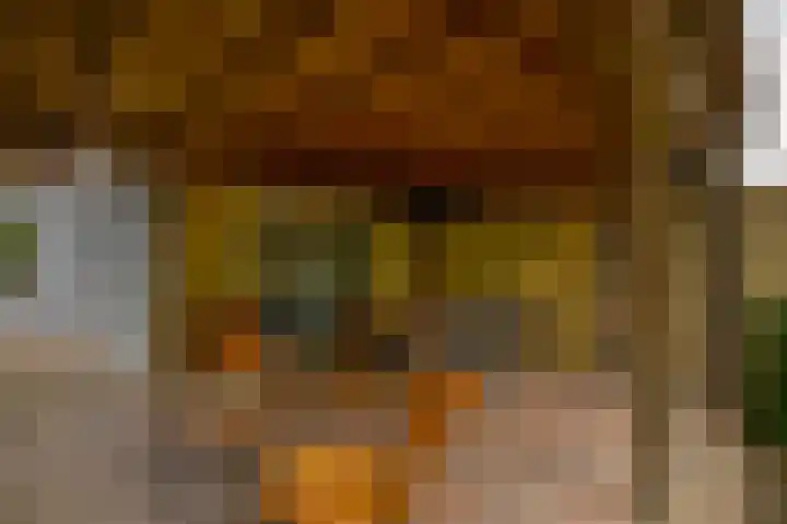 van Almondestraat 4 Veghel thumbnail 33