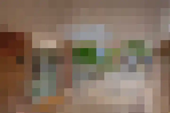van Almondestraat 4 Veghel thumbnail 36
