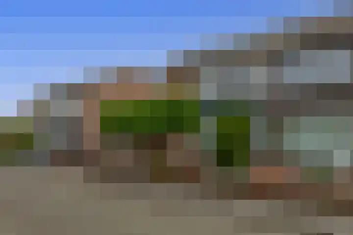 van Almondestraat 4 Veghel thumbnail 38