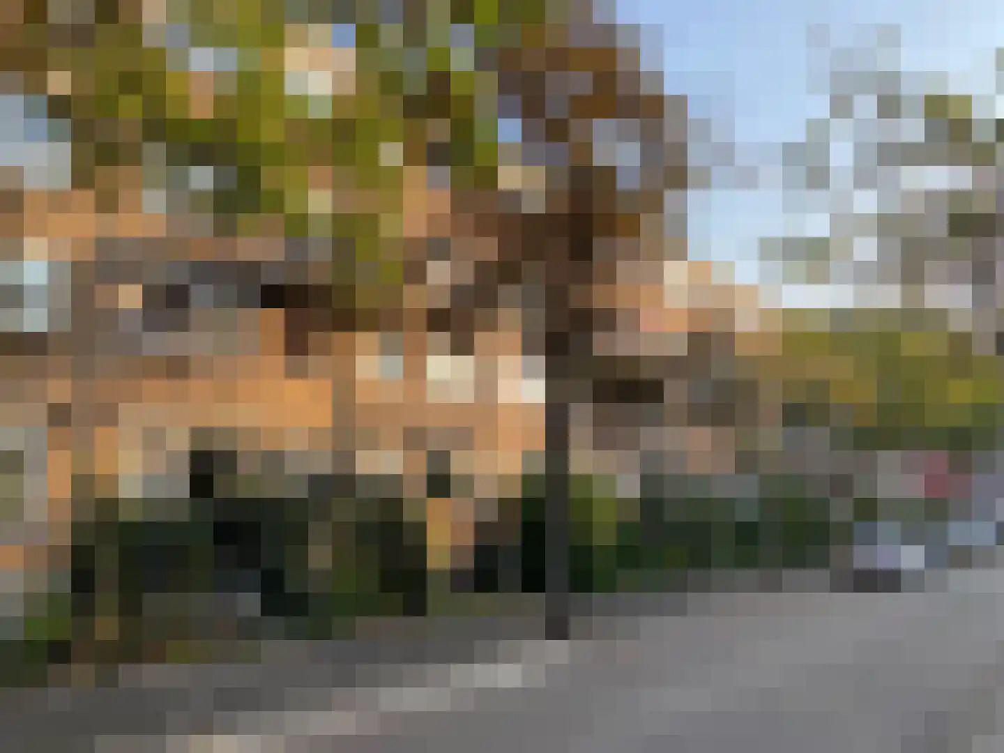 Van Almondestraat 40 I Delft thumbnail 22