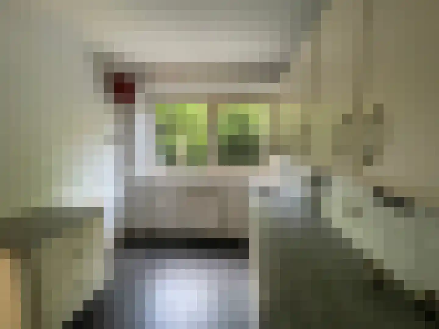 Van Almondestraat 42 Delft thumbnail 4