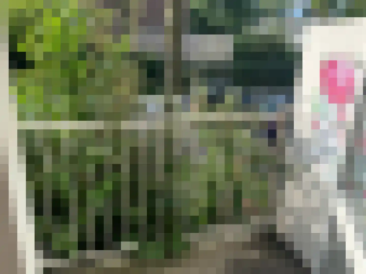 Van Almondestraat 42 Delft thumbnail 6