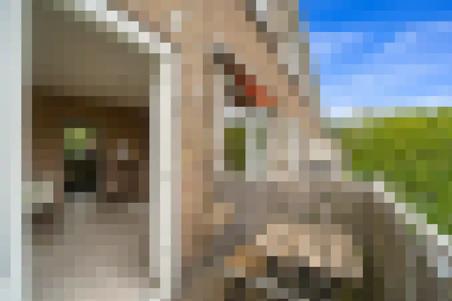 Van Almondestraat 54 I Delft thumbnail 12