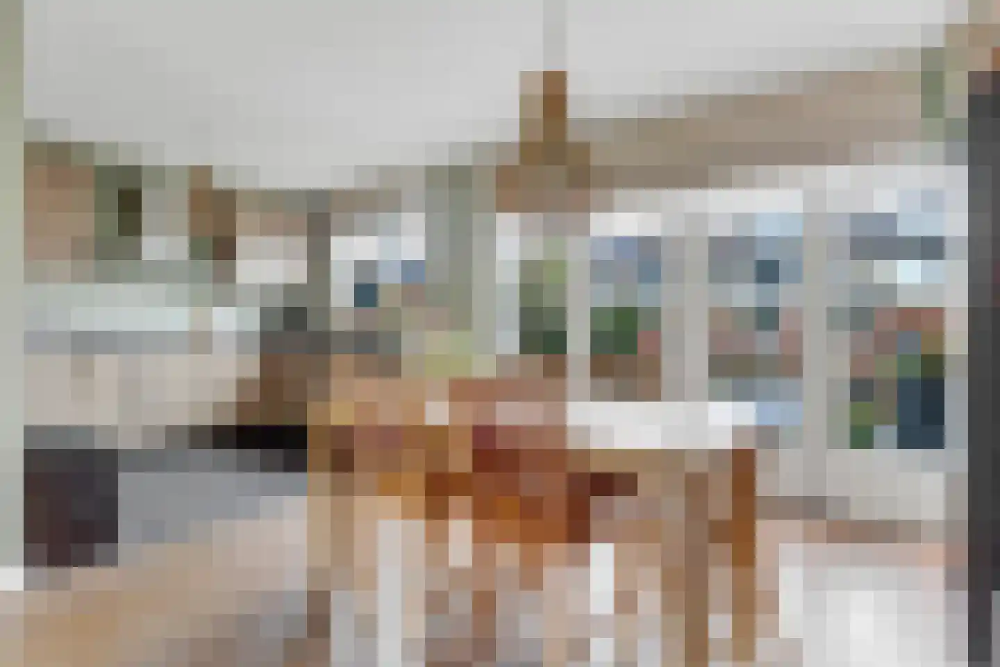 van Almondestraat 8 Goudswaard thumbnail 11