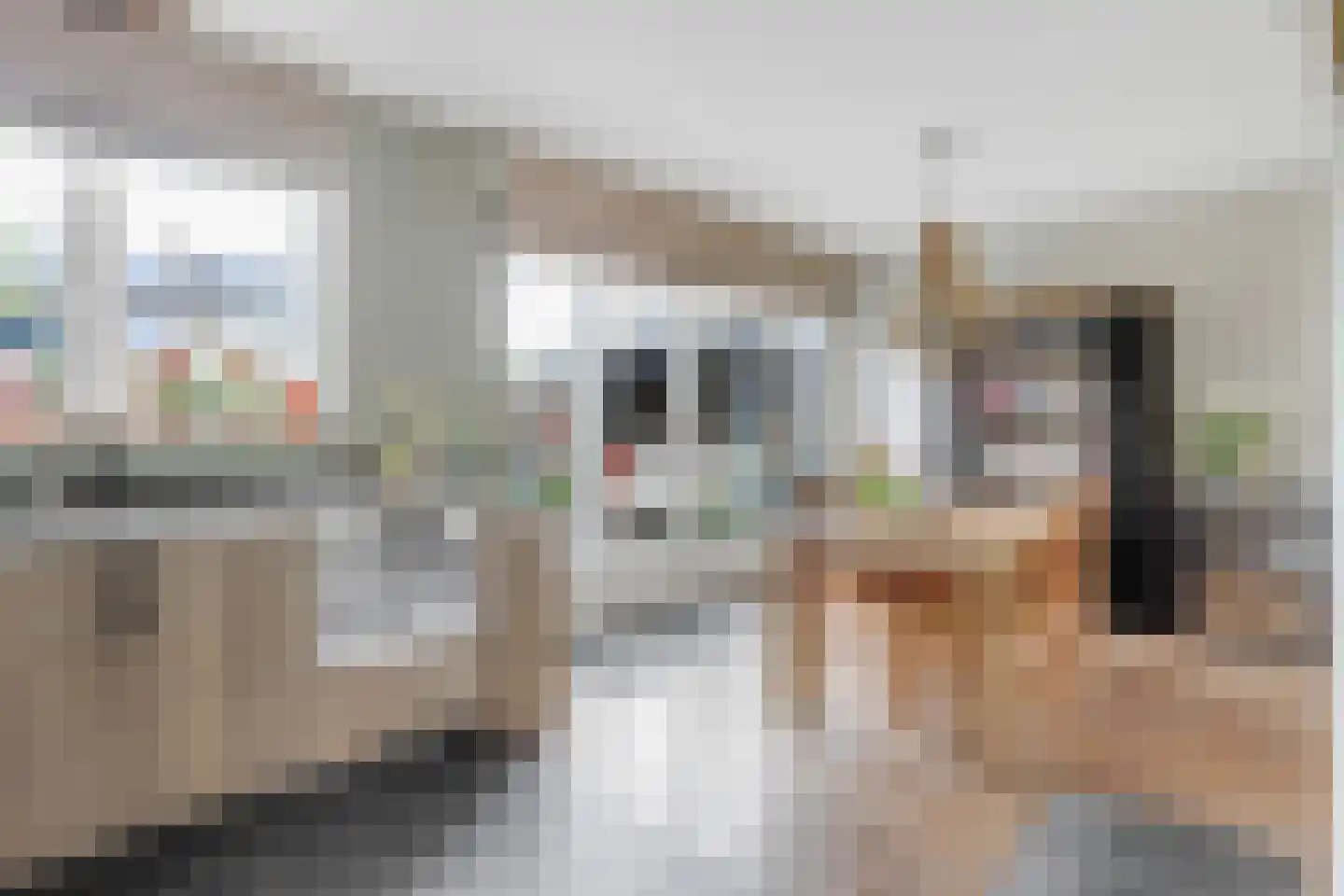 van Almondestraat 8 Goudswaard thumbnail 13