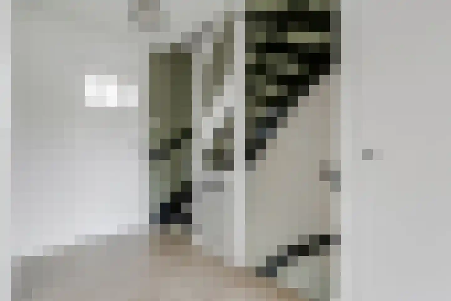 van Almondestraat 8 Goudswaard thumbnail 14