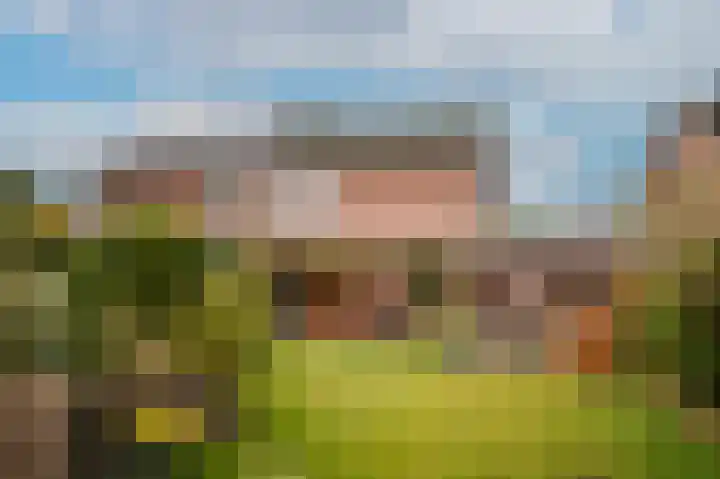 van Almondestraat 8 Veghel thumbnail 23