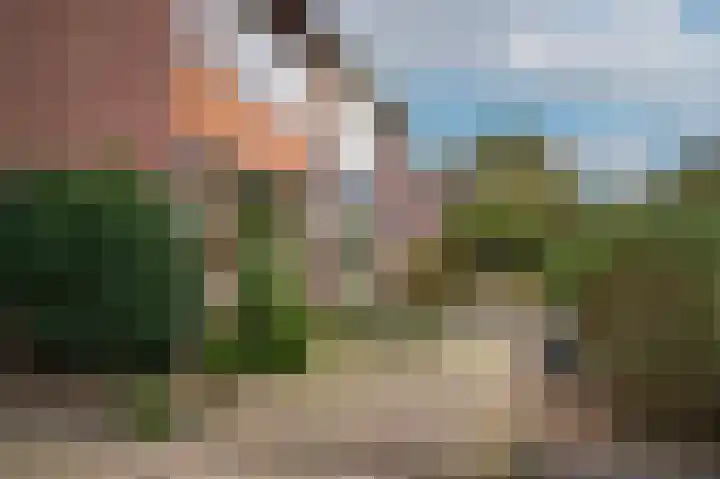 van Almondestraat 8 Veghel thumbnail 26