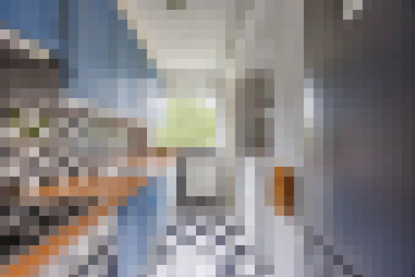 Van Almondestraat 82 Delft thumbnail 16
