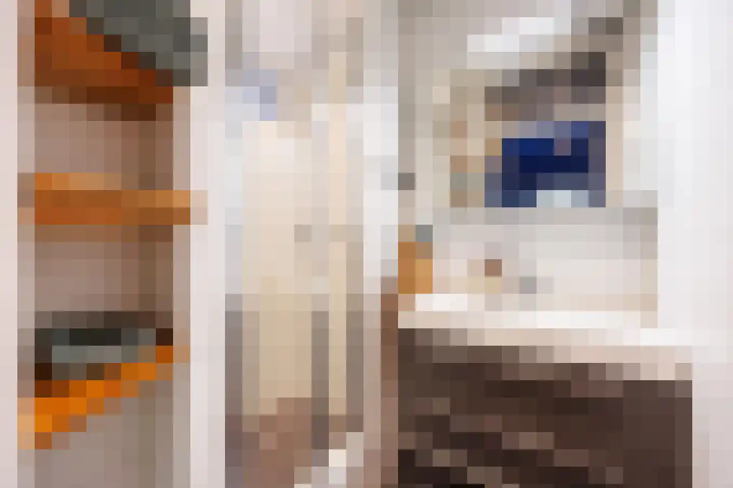 Van Almondestraat 82 Delft thumbnail 19
