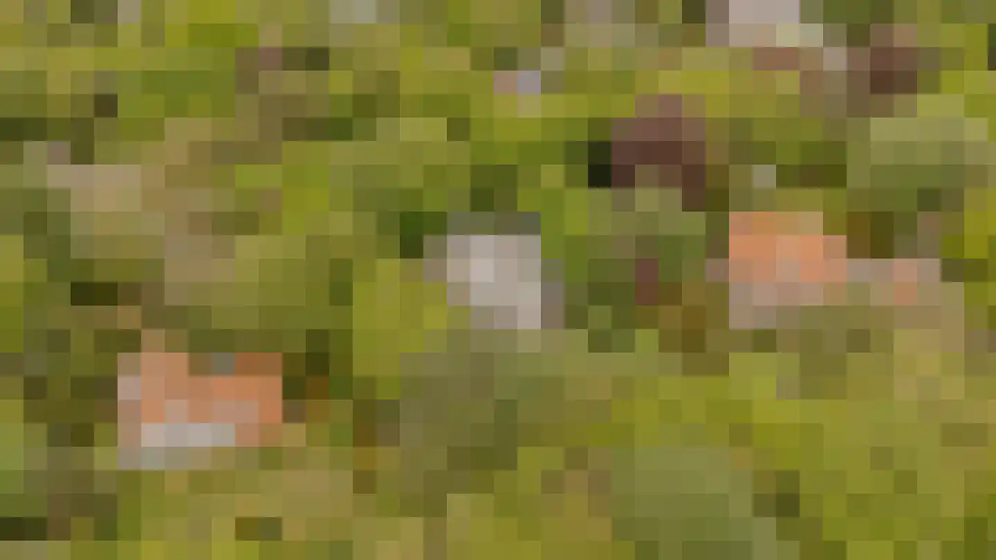 Van Alphenlaan 1 a Aerdenhout thumbnail 5