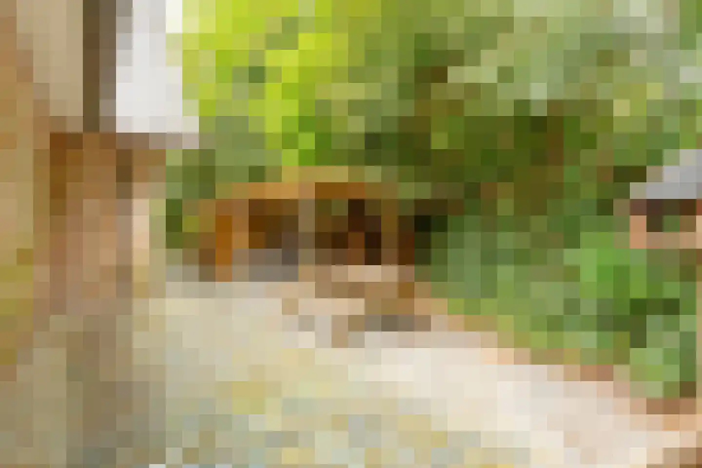 Van Alphenlaan 1 a Aerdenhout thumbnail 61