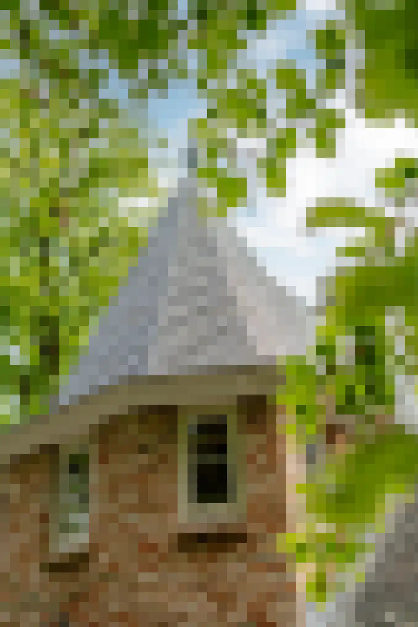 Van Alphenlaan 1 a Aerdenhout thumbnail 64