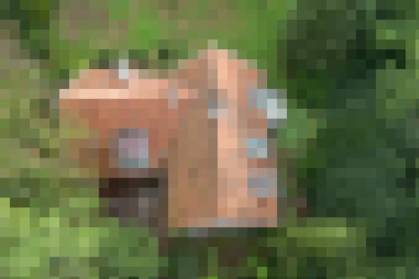 Van Alphenlaan 3 Aerdenhout thumbnail 10