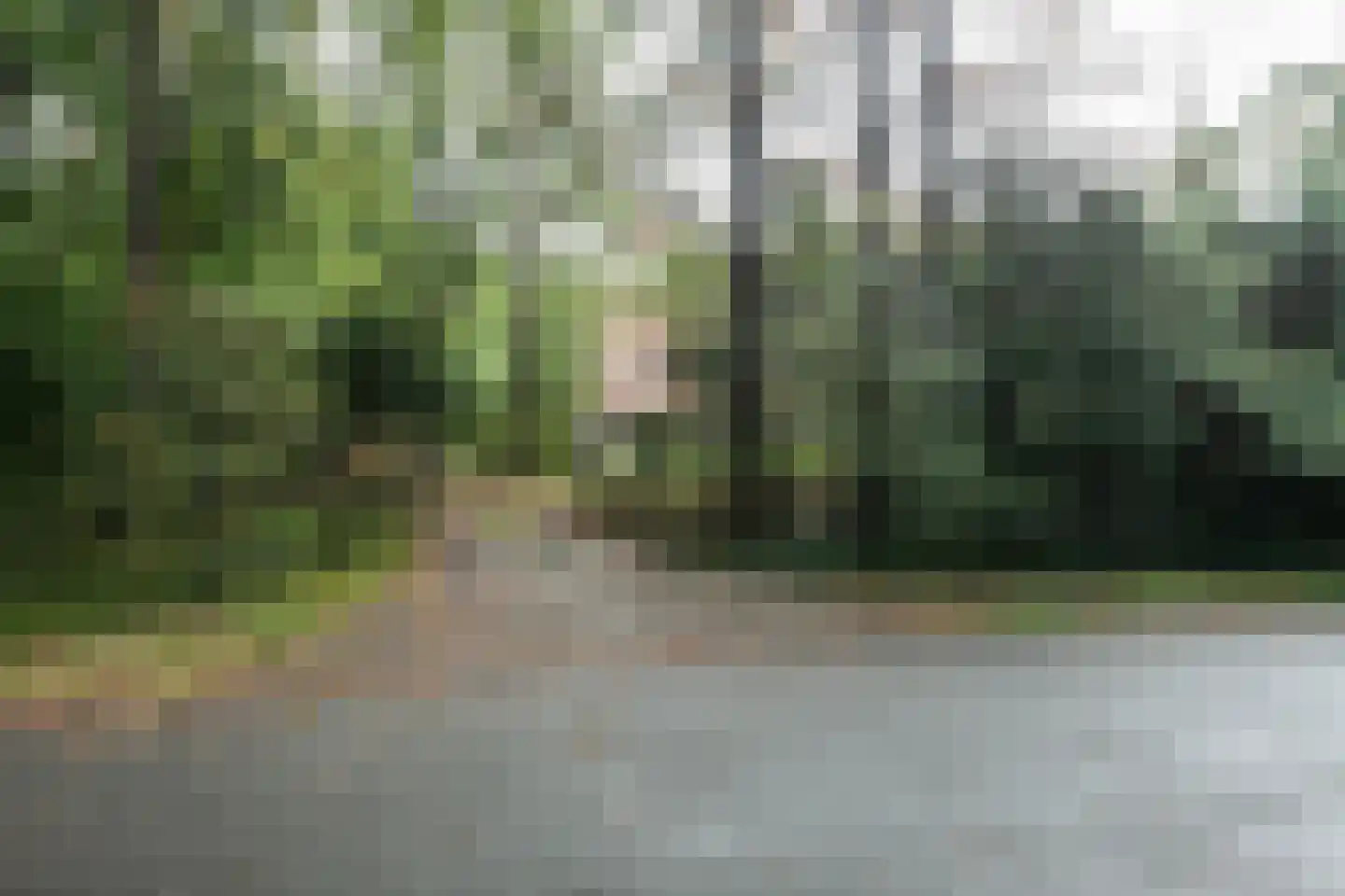 Van Alphenlaan 3 Aerdenhout thumbnail 11