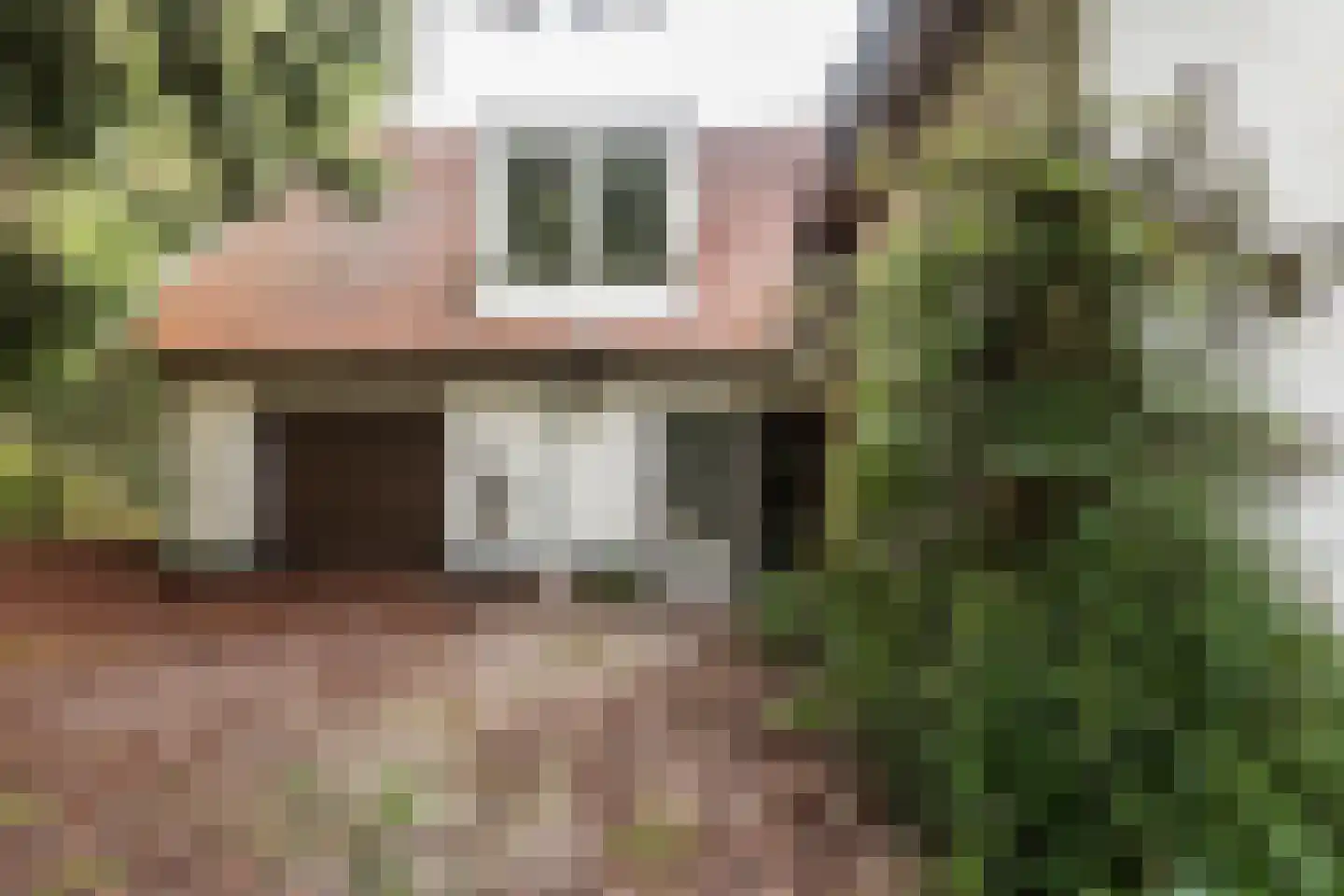 Van Alphenlaan 3 Aerdenhout thumbnail 12