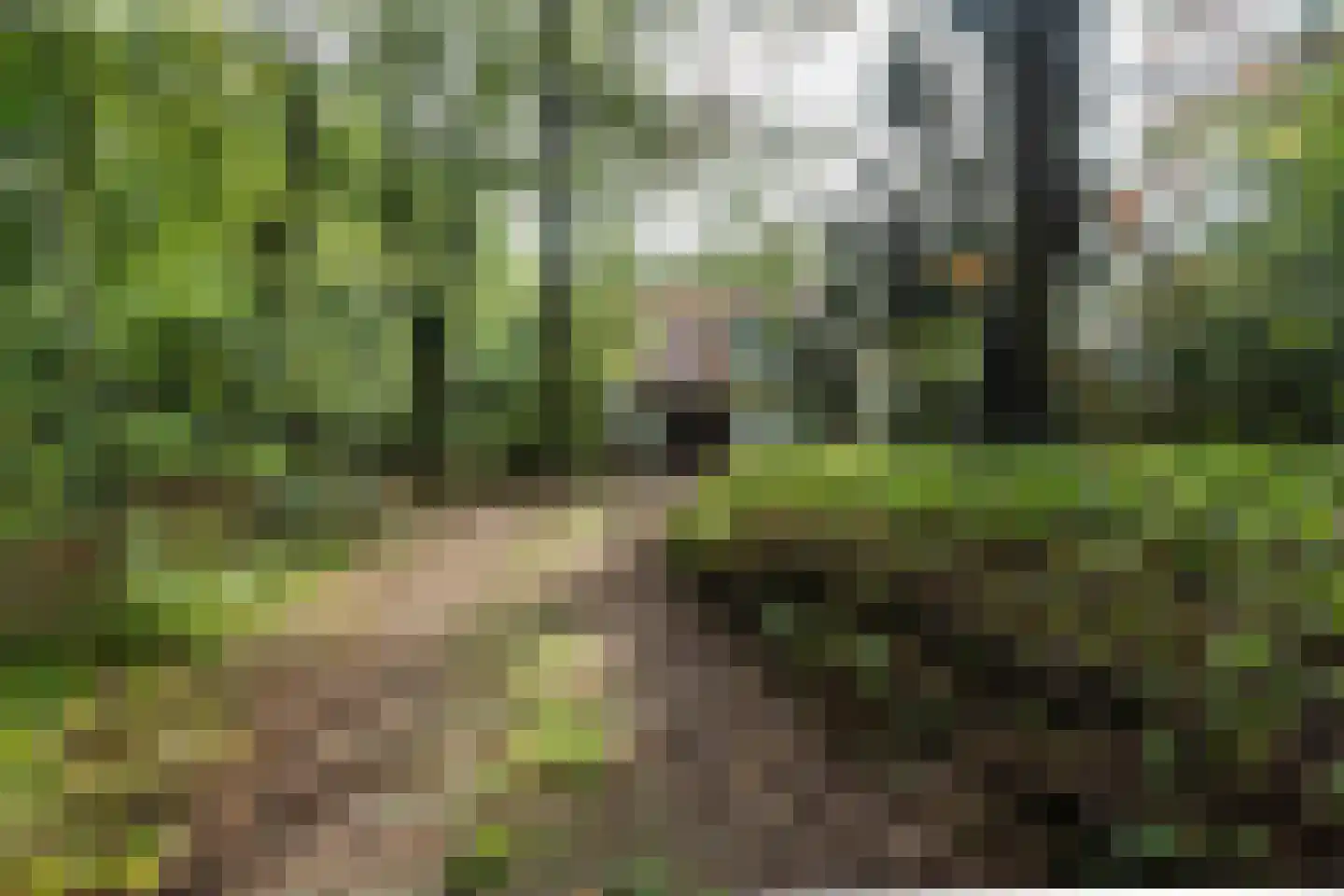 Van Alphenlaan 3 Aerdenhout thumbnail 14