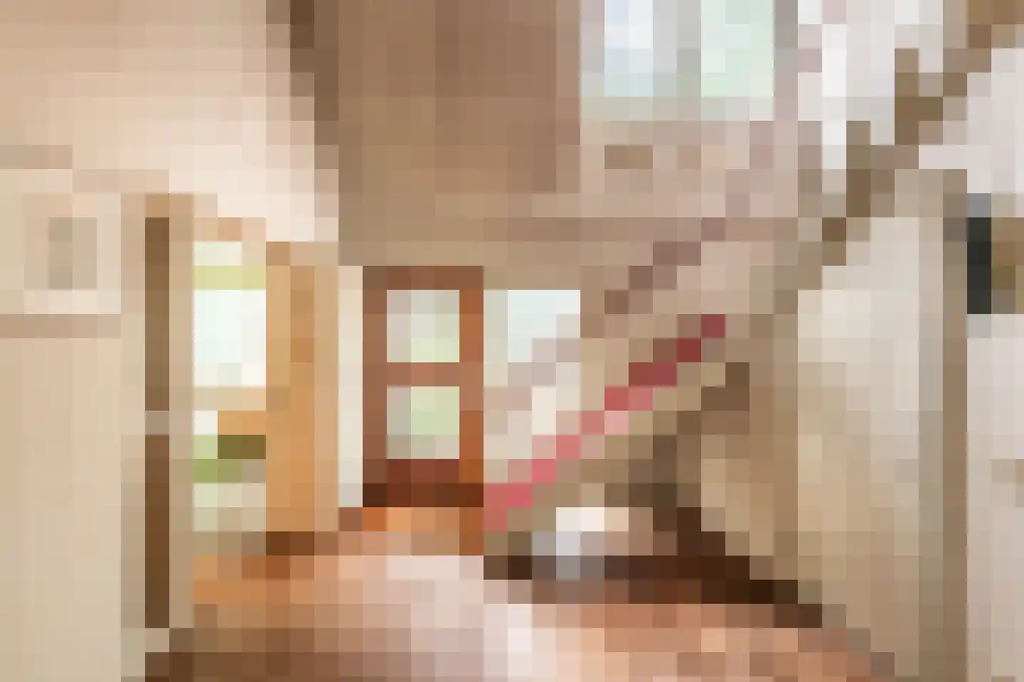 Van Alphenlaan 3 Aerdenhout thumbnail 15