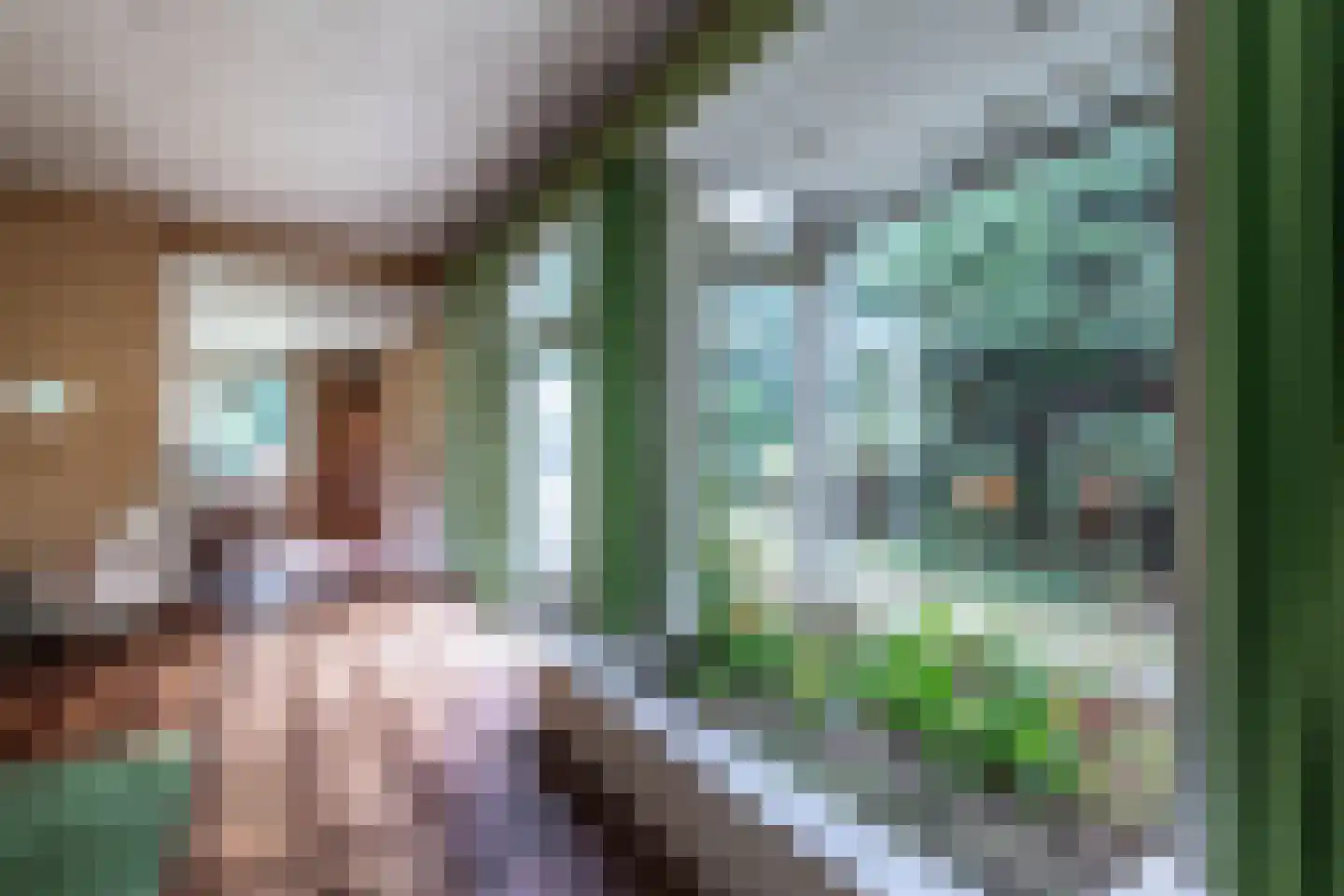 Van Alphenlaan 3 Aerdenhout thumbnail 20