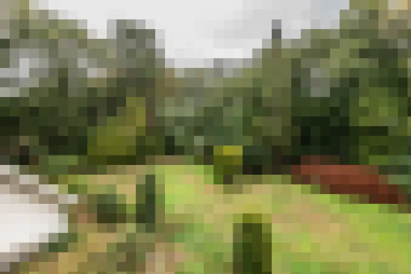 Van Alphenlaan 3 Aerdenhout thumbnail 34