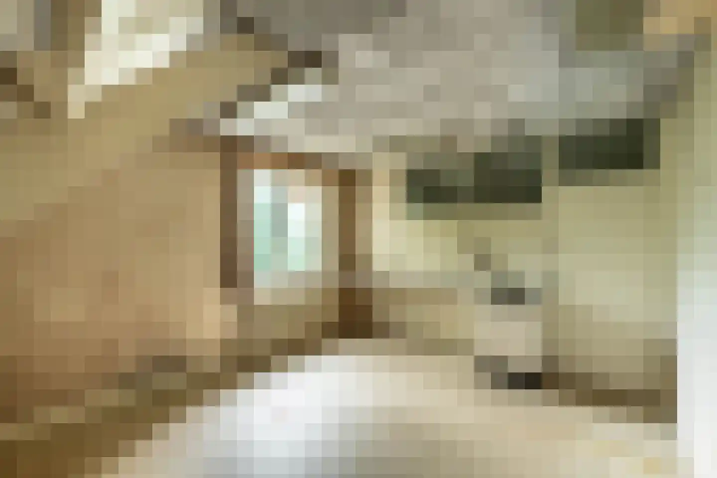 Van Alphenlaan 3 Aerdenhout thumbnail 40