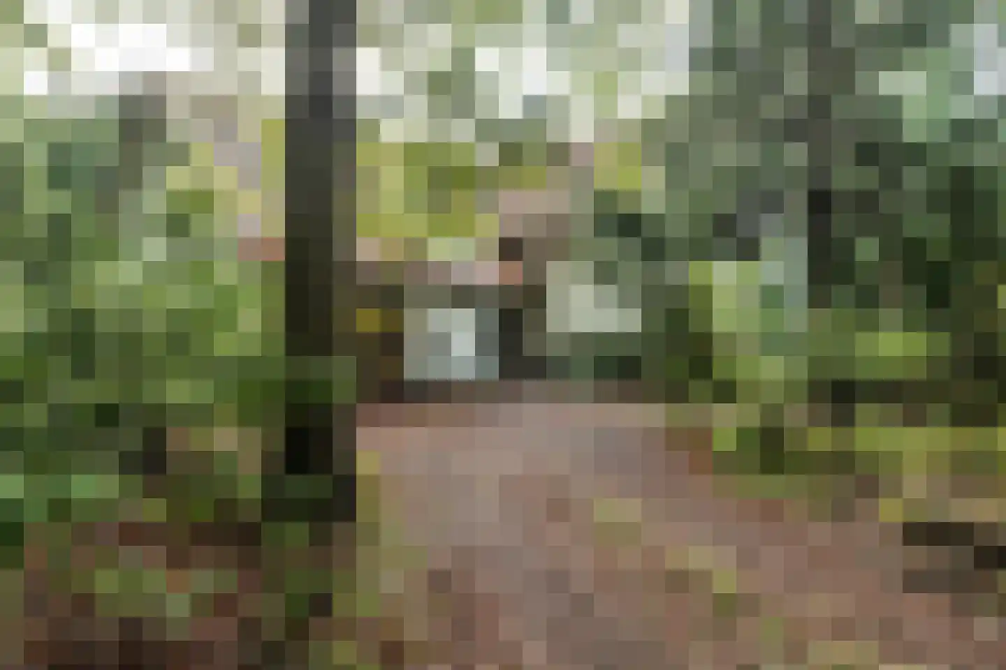 Van Alphenlaan 3 Aerdenhout thumbnail 43