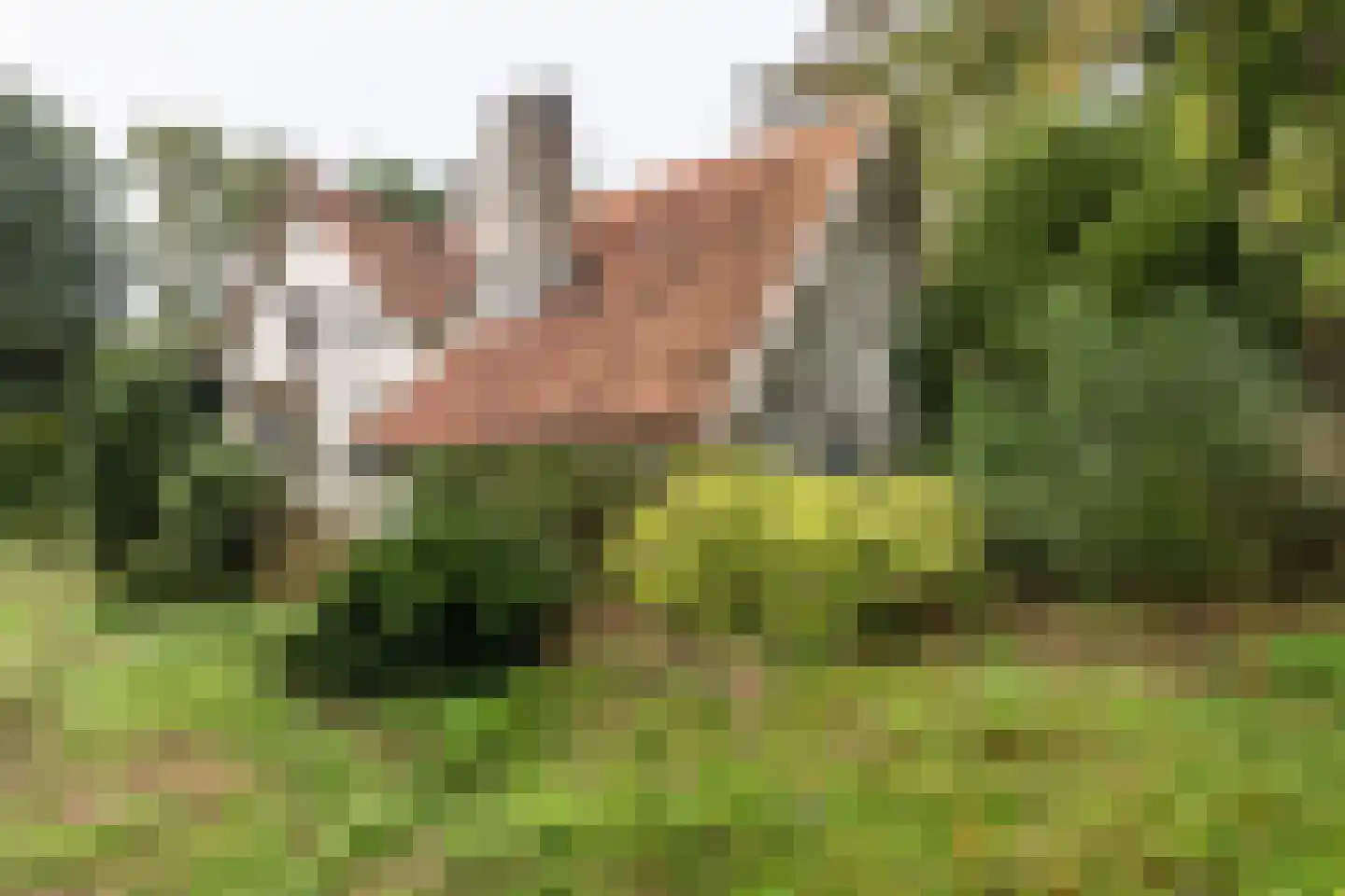 Van Alphenlaan 3 Aerdenhout thumbnail 5