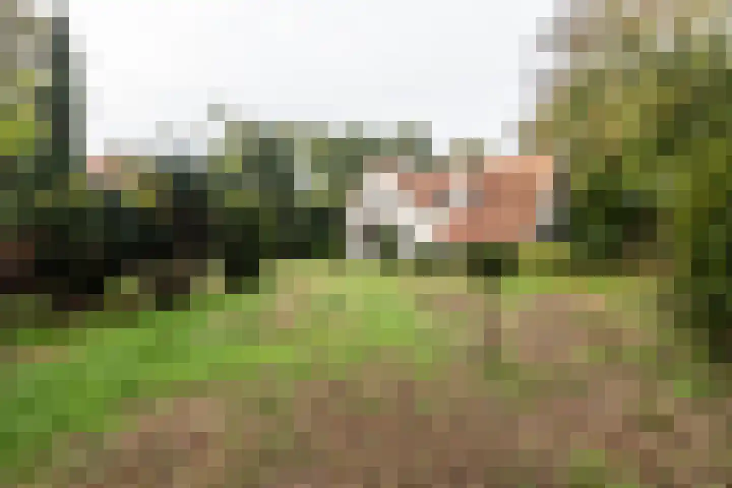 Van Alphenlaan 3 Aerdenhout thumbnail 8